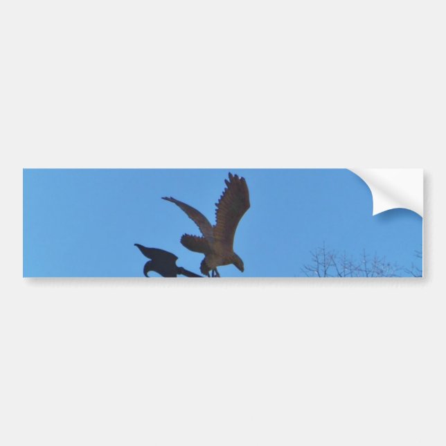 Autocollant De Voiture Eagle and Arrow Weather vane blue skys (Devant)
