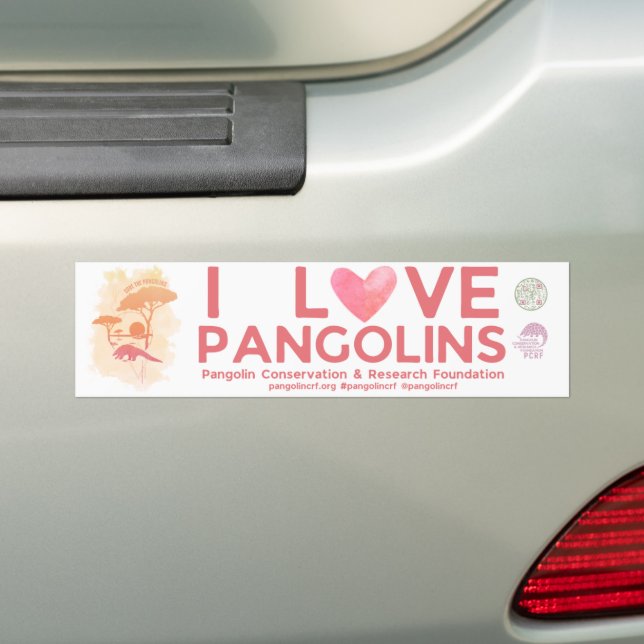 Autocollant De Voiture ÉCONOMISER PANGOLINS Edition spéciale Bumper Stick (En voiture)