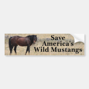 Autocollant De Voiture Économisez Notre Sticker Mustangs Bumper