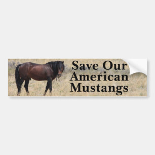 Autocollant De Voiture Économisez Notre Sticker Mustangs Bumper