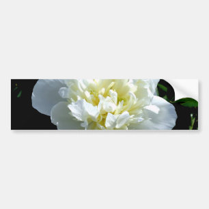 Autocollant De Voiture Elégant blanc peony floral blanc photo