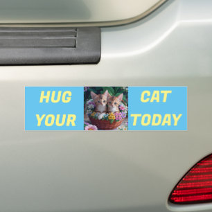 Autocollant De Voiture Embrassez votre chat aujourd'hui