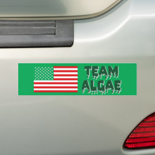Autocollant De Voiture Équipe Algue Bassin de réflexion Drôle Anti-Trump