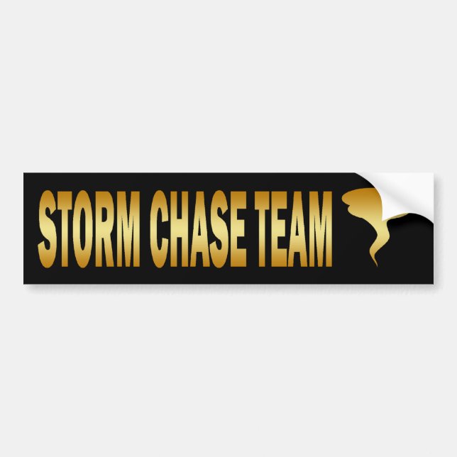 AUTOCOLLANT DE VOITURE ÉQUIPE DE CHASSE DE TEMPÊTE (Devant)