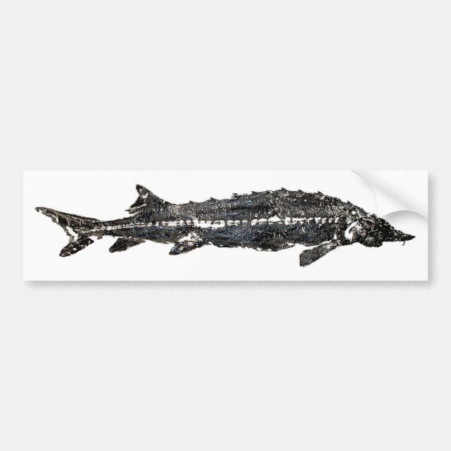 Autocollant De Voiture Esturgeon blanc Gyotaku-40-Item (Devant)