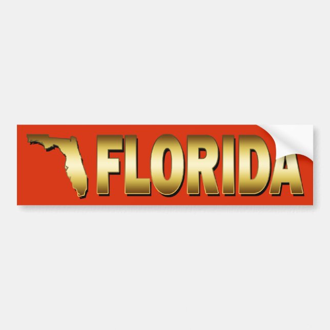 AUTOCOLLANT DE VOITURE ÉTAT DE FLORIDE (Devant)