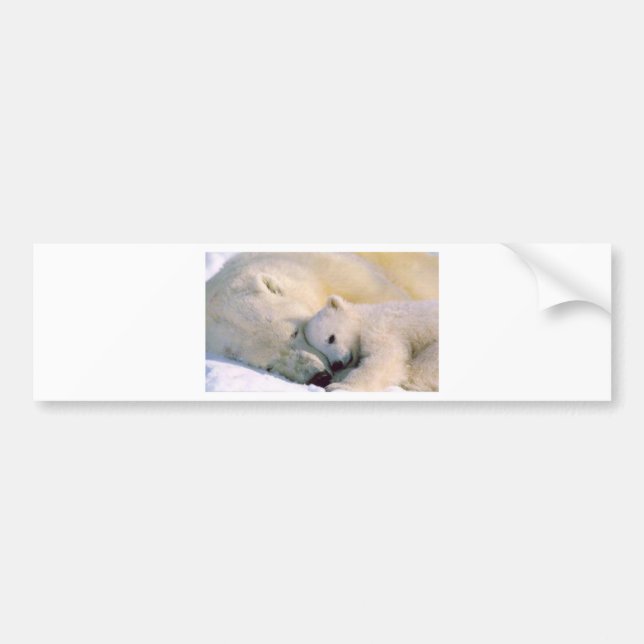 Autocollant De Voiture Étreintes d'ours blanc (Devant)