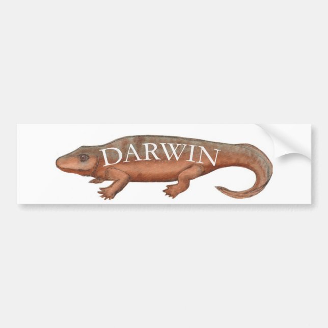 Autocollant De Voiture Évolution de Darwin Tetrapod (Devant)
