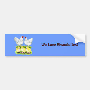 Autocollant De Voiture Famille blanche de poulet de Wyandotte