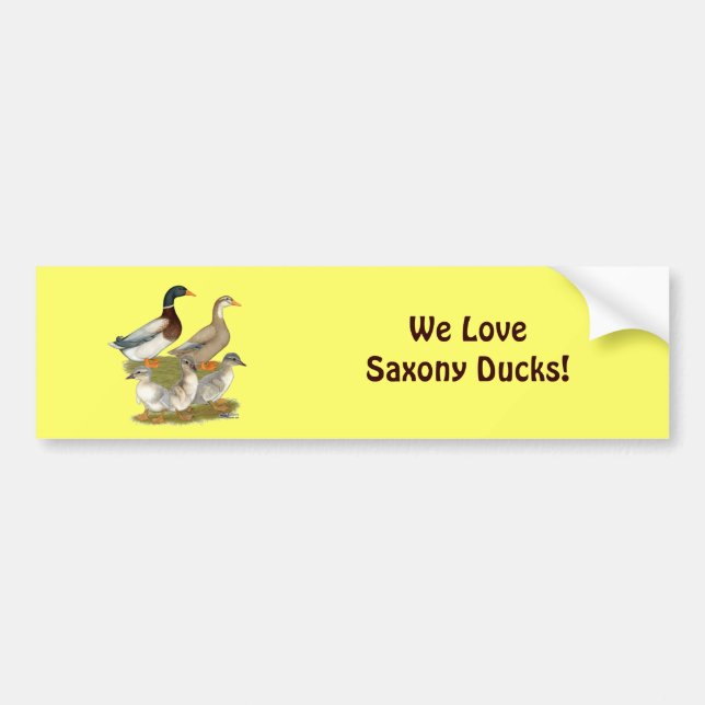 Autocollant De Voiture Famille de canards de Saxe (Devant)