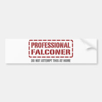 Fauconnier professionnel