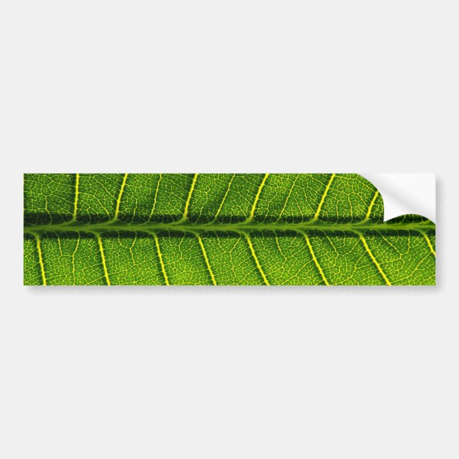 Autocollant De Voiture Feuille (Devant)