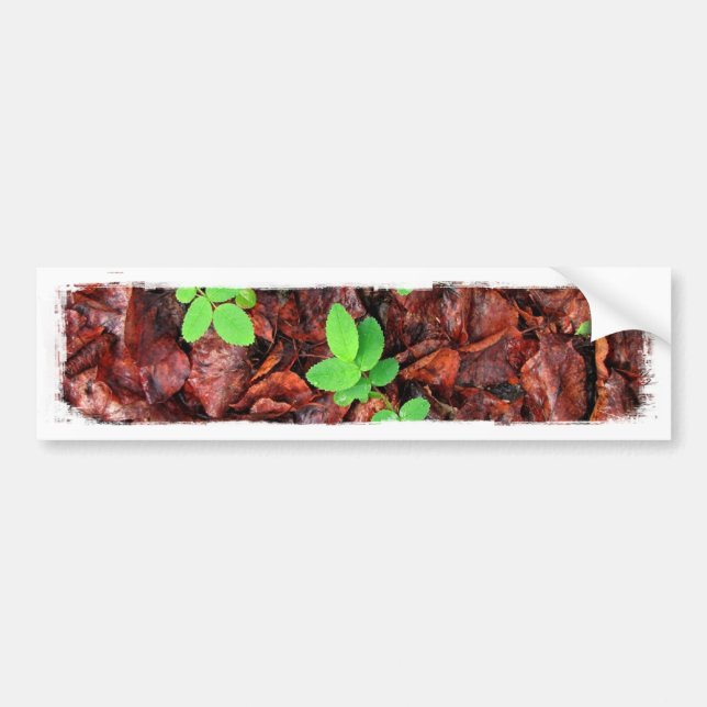 Autocollant De Voiture Feuille rose ; Aucun texte (Devant)