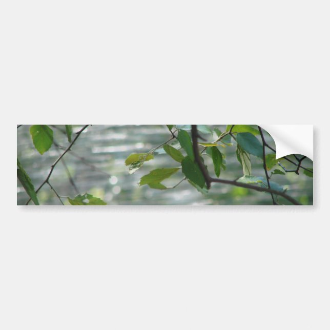 Autocollant De Voiture Feuille vert d'espoir (Devant)