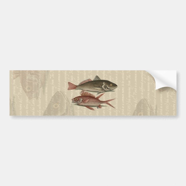 Autocollant De Voiture Fish Red Perch Fisherman Art (Devant)