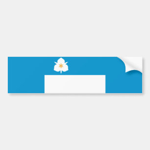 Autocollant De Voiture Flag of Salt Lake City (Utah)
