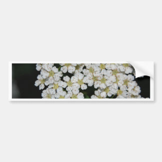 Autocollant De Voiture fleur
