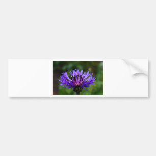 Autocollant De Voiture Fleur de Bleuet Fleurs de Bleuet Paix Amour Destin