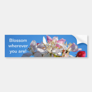 Autocollant De Voiture Fleur de cerisier rayonnant