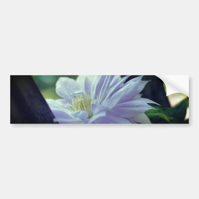 Autocollant De Voiture Fleur de clématite nichée  (Devant)