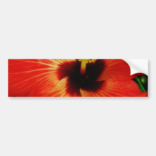 Autocollant De Voiture Fleur d'Hibiscus rouge-orange