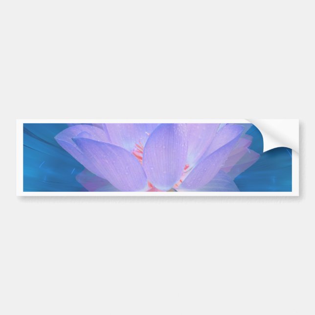 Autocollant De Voiture Fleur galaxie (Devant)