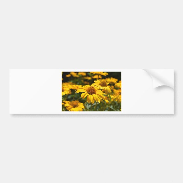 Autocollant De Voiture fleurs-2824808 (Devant)