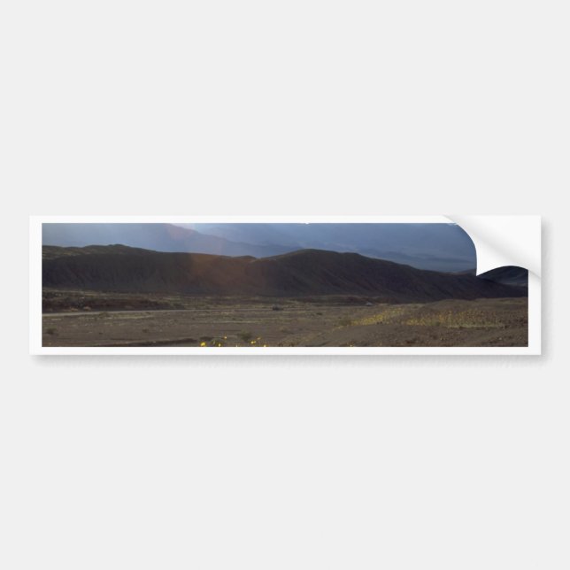 Autocollant De Voiture Fleurs dans le Death Valley (Devant)