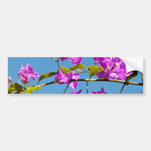Autocollant De Voiture Fleurs de Bougainvilliers