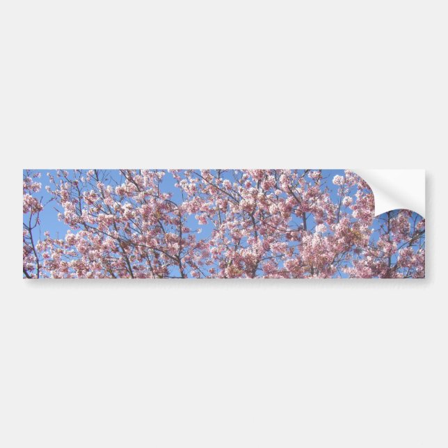 Autocollant De Voiture Fleurs de cerisiers (Devant)