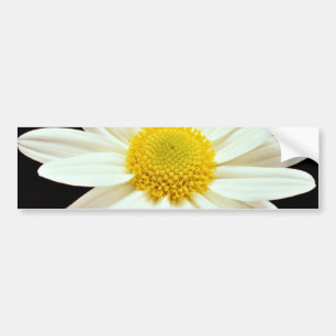 Autocollant De Voiture Fleurs de chrysanthème de marguerite blanche