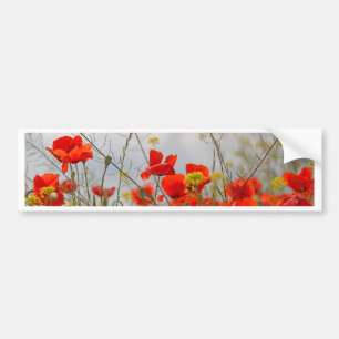 Autocollant De Voiture Fleurs de pavot commun dans un domaine
