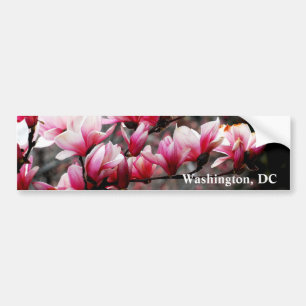 Autocollant De Voiture Fleurs d'université de Georgetown, Washington, C.