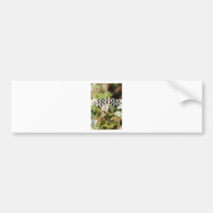 Autocollant De Voiture Fleurs Papillons Floraison Mariage Bain de Rêves P