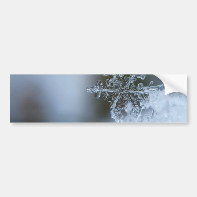 Autocollant De Voiture Flocon de neige Icy (Devant)