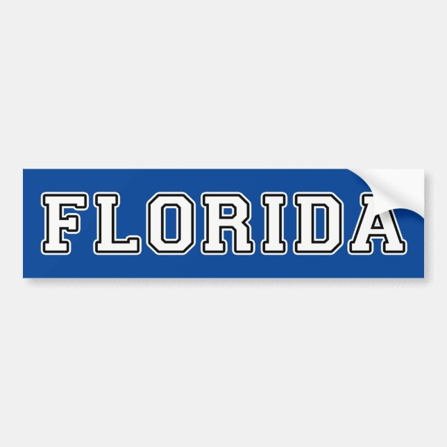Autocollant De Voiture Floride (Devant)