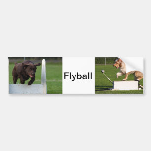 Autocollant De Voiture Flyball