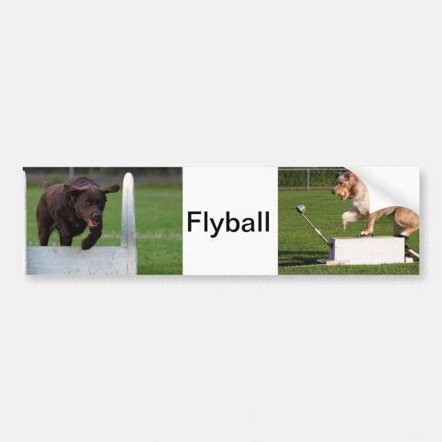 Autocollant De Voiture Flyball (Devant)