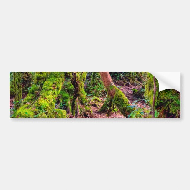 Autocollant De Voiture Forêt moussue (Devant)