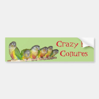 Autocollant De Voiture Fou pour Conures !