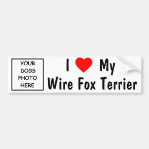 Autocollant De Voiture Fox Terrier de fil