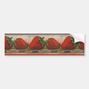 Autocollant De Voiture Fraises Giant Fruit Antique Fruit Amusant