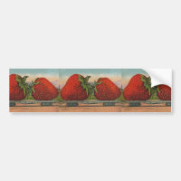 Fraises Giant Fruit Antique Fruit Amusant