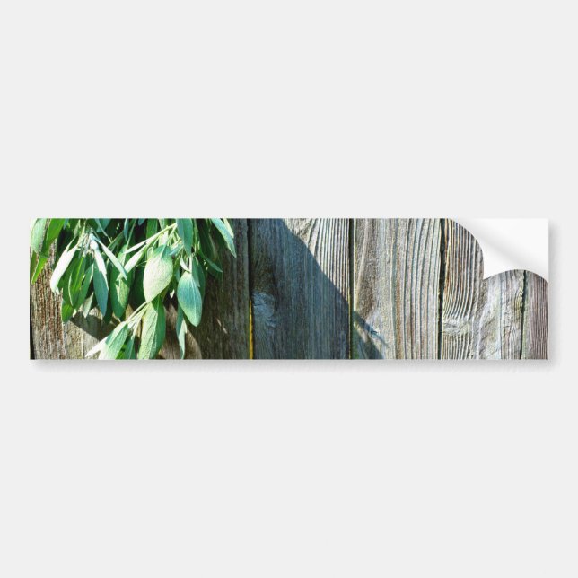 Autocollant De Voiture Fresh-cut Sage Barn-wood (Devant)