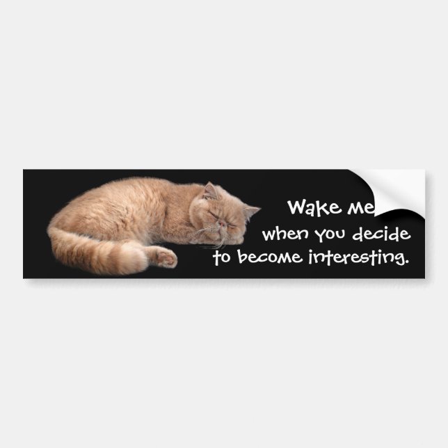 Autocollant De Voiture Gingembre Dormir Chat Funny Wake Me Citation (Devant)