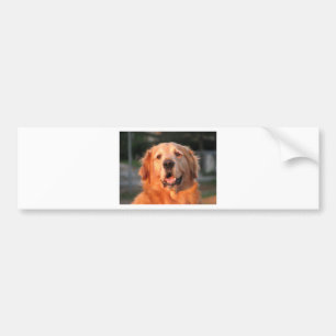 Autocollant De Voiture Golden Retriever