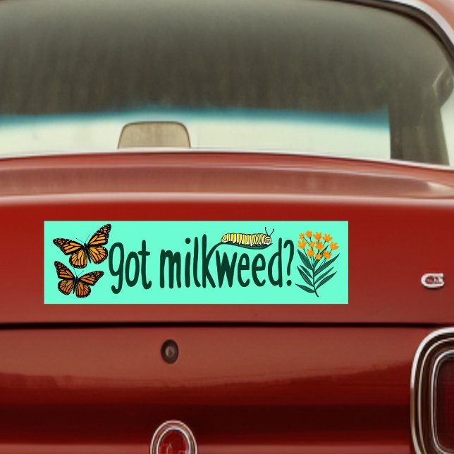 Autocollant De Voiture GOT MILKWEED? Monarch Butterfly Caterpillar Plants (GOT MILKWEED? Monarch Butterfly Caterpillar Plants Bumper Sticker
)