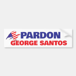 Autocollant De Voiture GRÂCE À GEORGE SANTOS punition trop sévère libérez