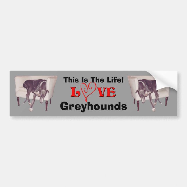 Autocollant De Voiture Greyhound Love This Is The Life Cute  (Devant)
