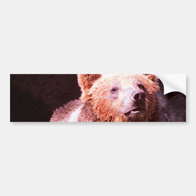 Autocollant De Voiture grizzli (Devant)